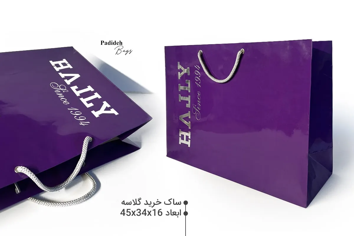 ساک دستی کاغذی سفارشی